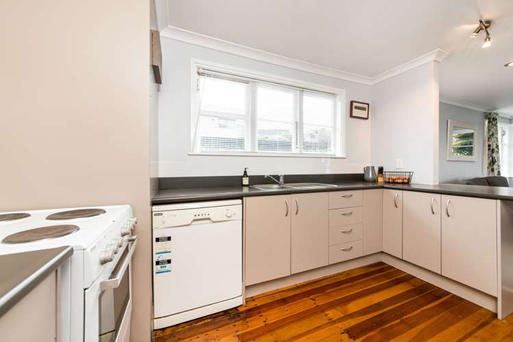 11 Mcculloch Road Panmure_7