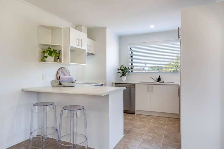 58 Tony Segedin Drive Avondale_8