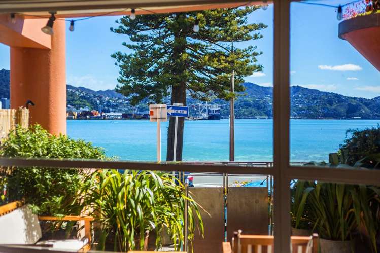 2/226 Oriental Parade Oriental Bay_9