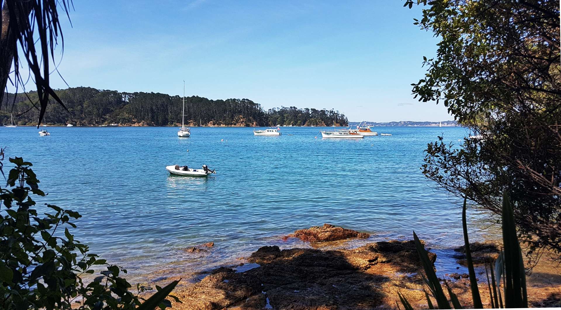 Lot 2 Stockyard Bay Kawau Island_0