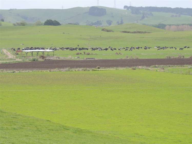 21 Grayden Road Morrinsville_22