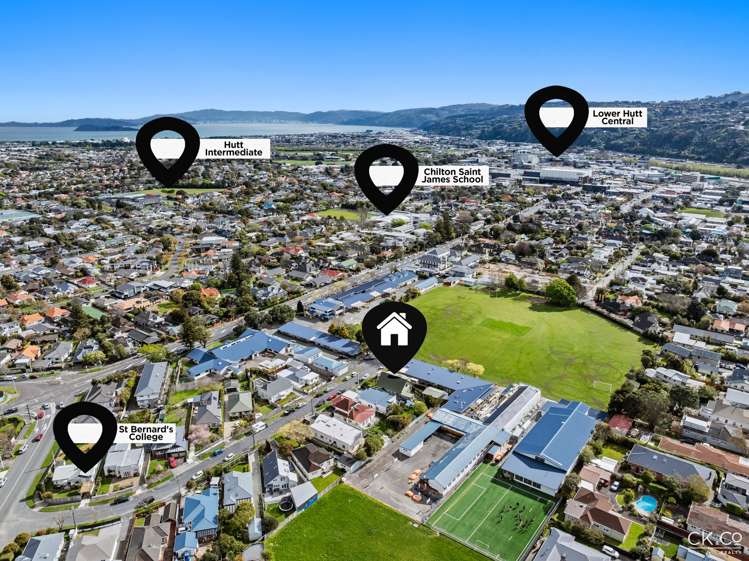 20 Anderson Grove Hutt Central_30