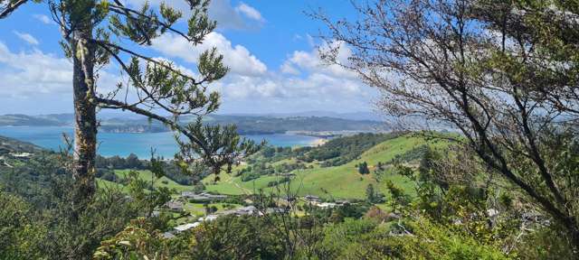 57 Tarapatiki Drive Whitianga_4