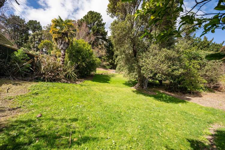 19 Brunner Street Nelson_27