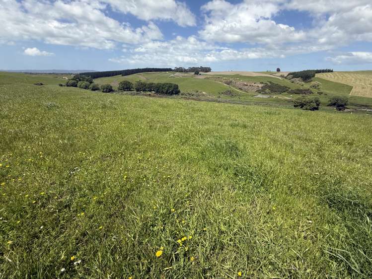 Kakapuaka Road Balclutha_9