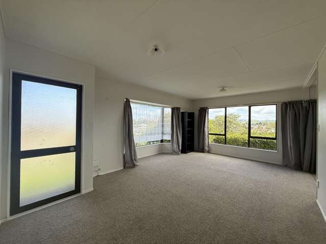 58 Elizabeth Street Tuakau_2