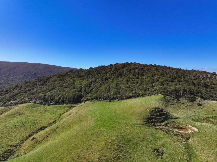 330 and 380 Falls Creek Road Orepuki_4