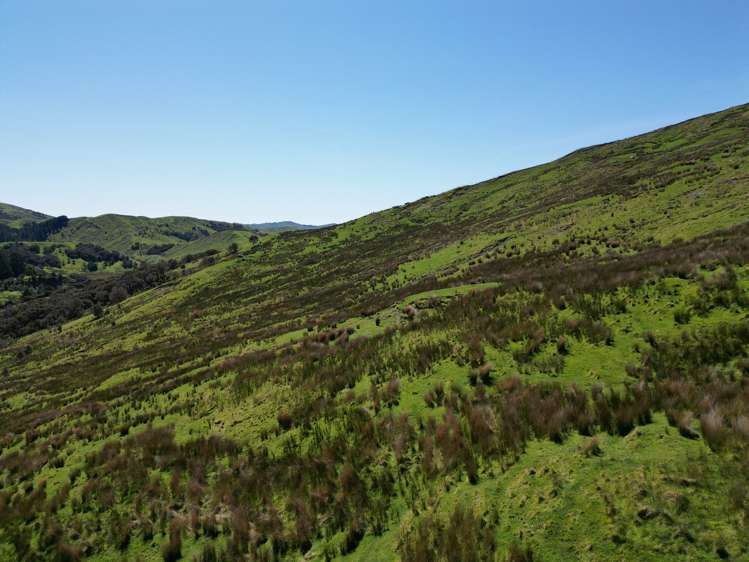 White Rock Road Martinborough_6