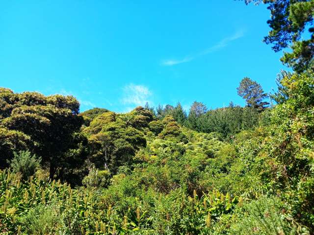Te Karoa Road Peria_2