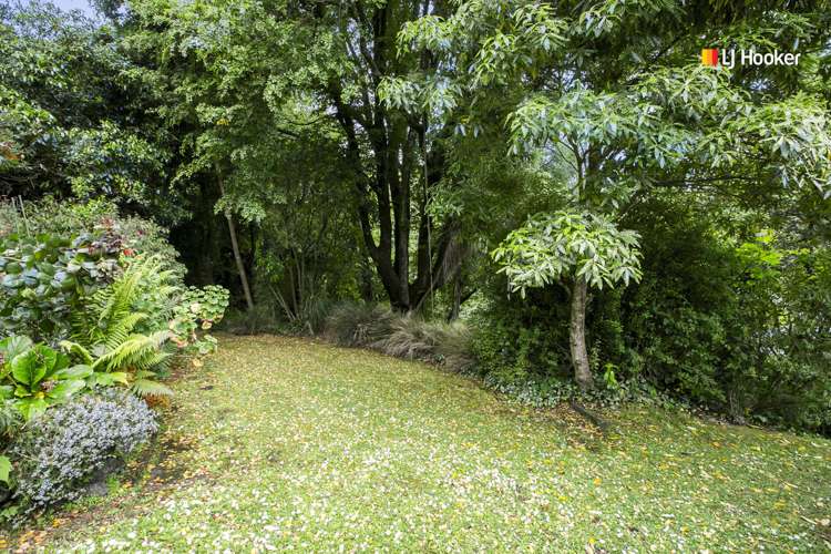 69 Warrender Street North Dunedin_21