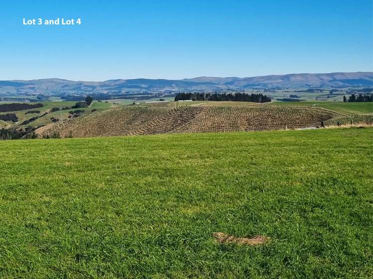 Cameron Road, Hillend Balclutha_12