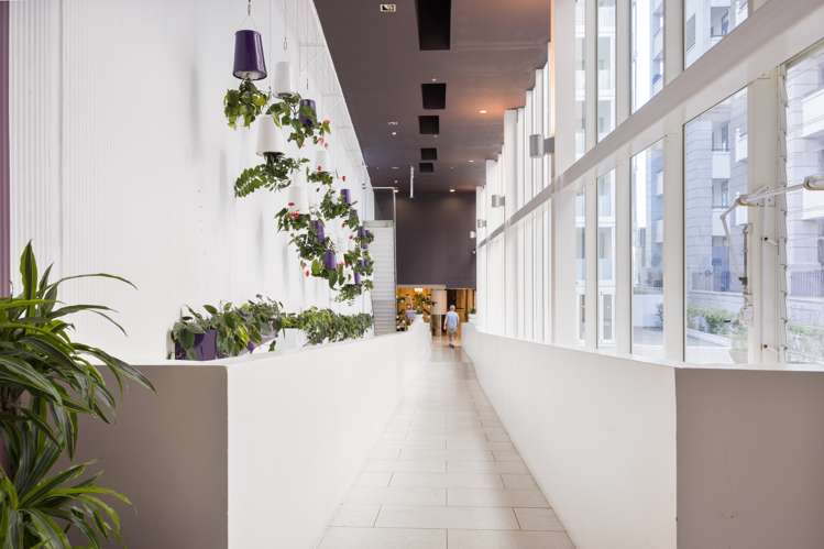 802/10 Waterloo Quadrant Auckland Central_8