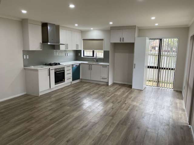 1 Deepak Lane Papatoetoe_1