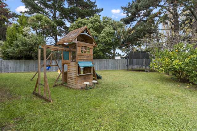 111c Rimu Street Maeroa_4