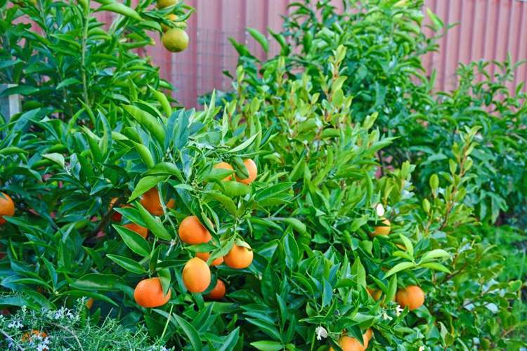 4 Tokoroa Road Tairua_19