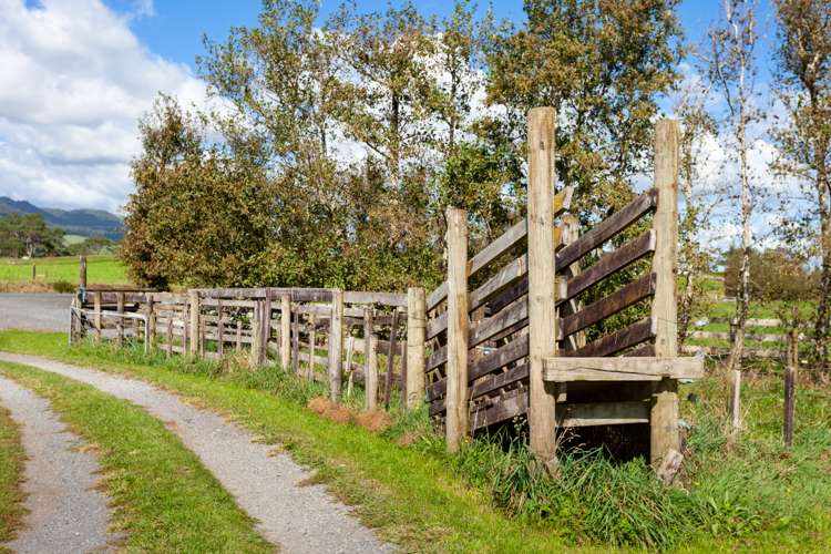 1191 Old Te Aroha Road Okauia_32