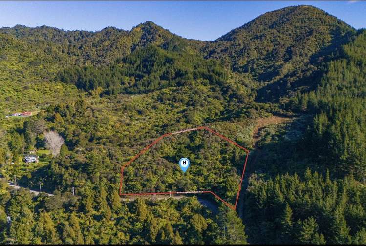 694 The 309 Road, Waiau_5