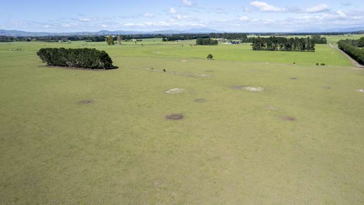 174 Wiltons Road Carterton_22