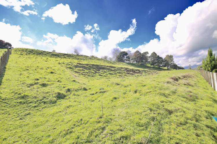 866 Bond Road Te Awamutu_21