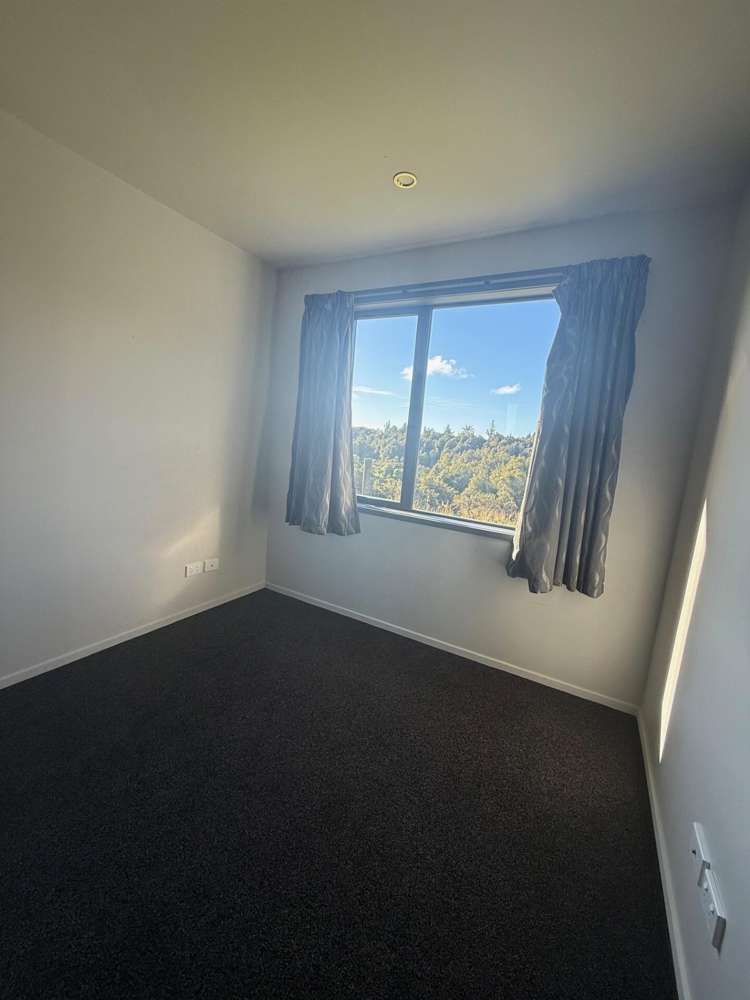 2 Little Paddock Hokitika_14