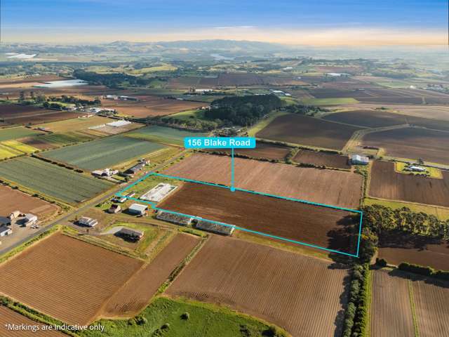 Ready-to-Restart Greenhouse on 2.8ha of Prime Land