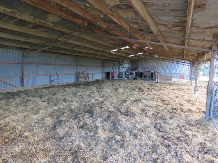 146 Elgin Road Elgin_7