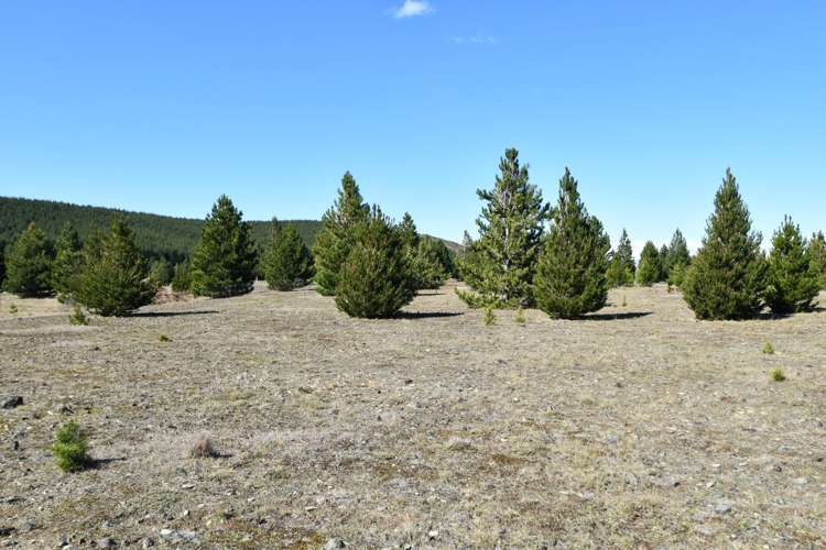 76 Flanagan Lane Twizel_5