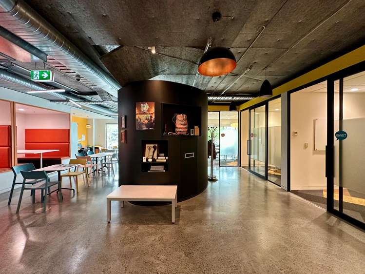 16 Normanby Road Mt Eden_6