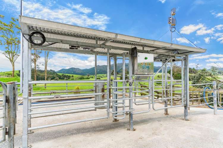 901 Pukehuia Road Tangiteroria_9