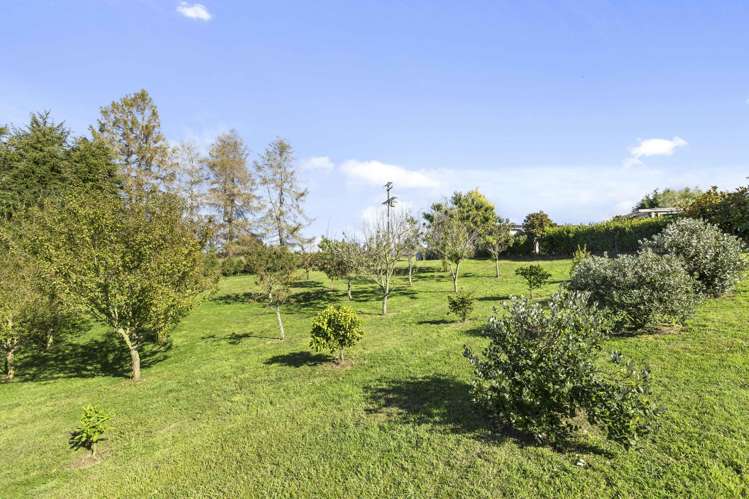 280 Rakau Road Reporoa_13