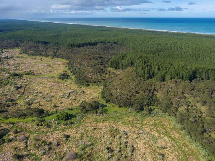 Lot 2/DP170782 Wilson Road South Head_25