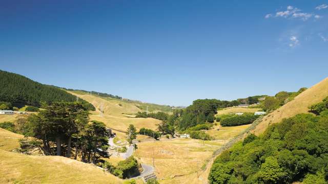 281 Takapu Road Takapu Valley_2