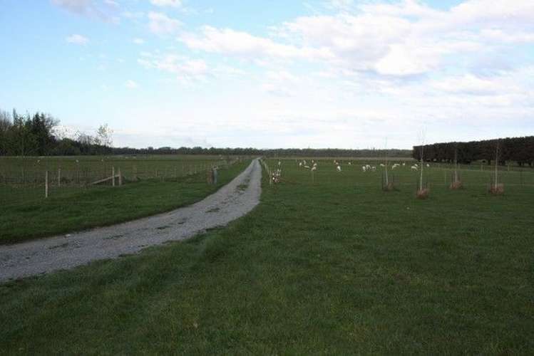 511 Orari Back Road Geraldine_10