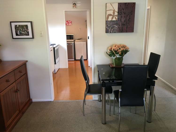 41 Terry Crescent Milson_16