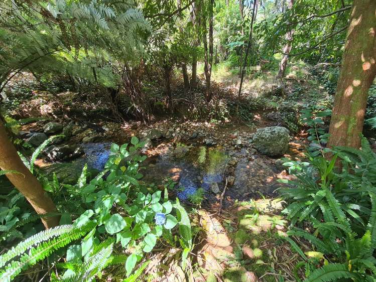 70 Driving Creek Road_3