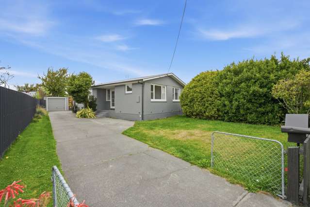 Classic Kiwi Starter!