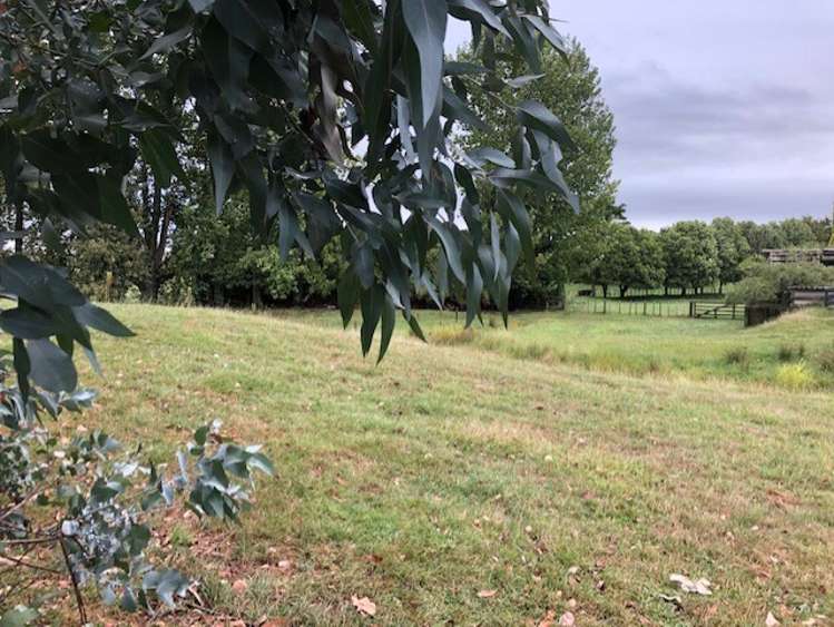 55 Kio Kio Station Road Otorohanga_18