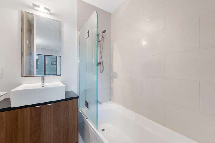 299 Murphys Road Flat Bush_8