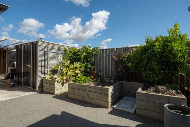 42 Grigg Drive Witherlea_27