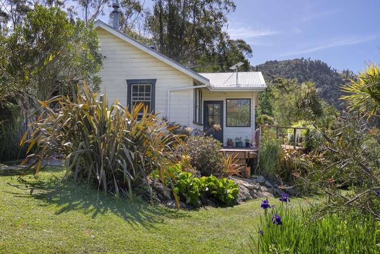 115 Snake Creek Road Collingwood_17