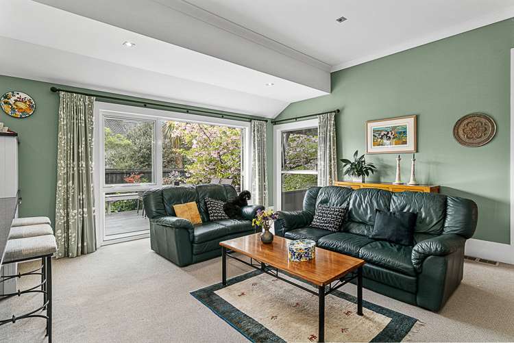 18 Purkiss Street Springlands_9