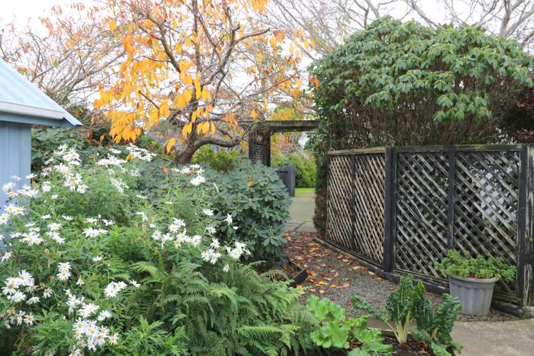 78 Carlyle Street Hawthorndale_29