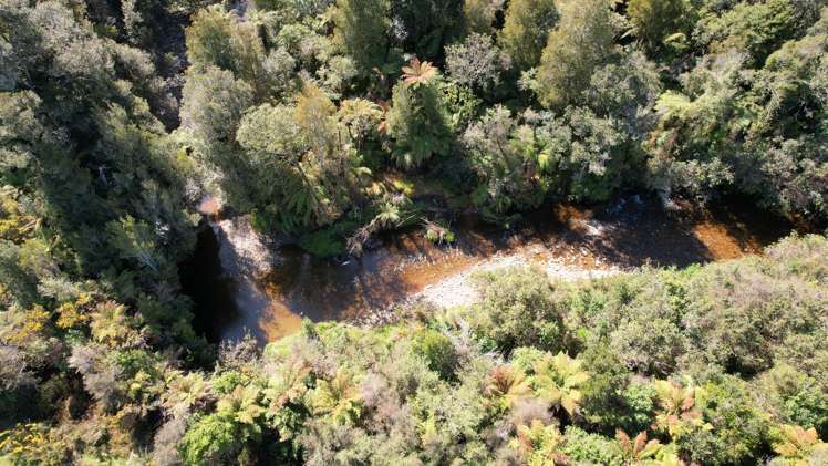 Blue Spur Road Hokitika_14