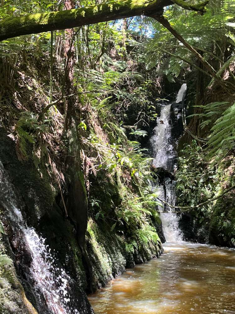 189 Gelling Road Hunua_7