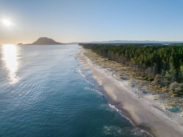 205 Matakana Island, 148 HA Matakana Island_6