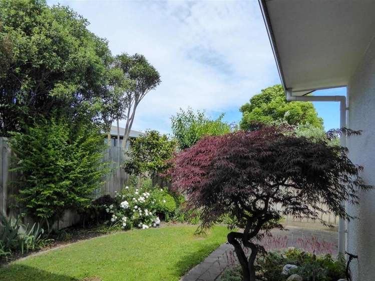 2 Regent Place Witherlea_12