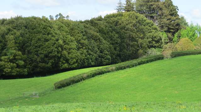 58 Ryburn Road Ohaupo_3