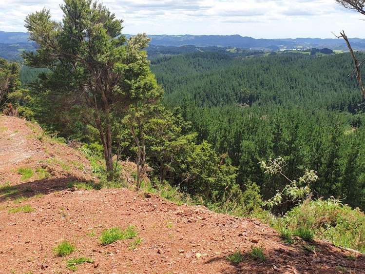 133 Mangahui Road Whareora_5