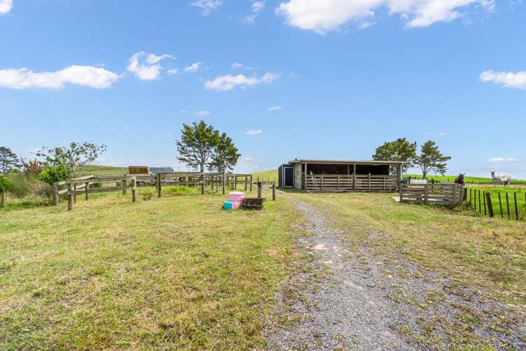 562 Waimate North Road Kerikeri_12