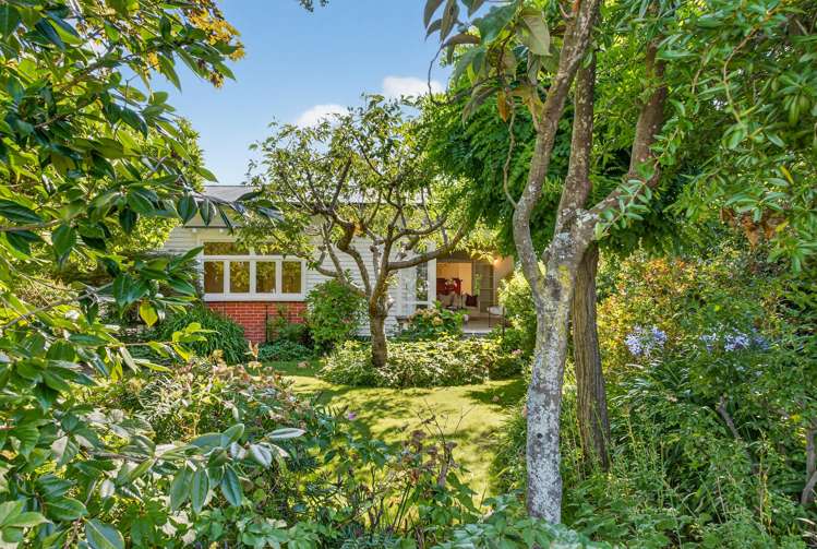 203 Prospect Road Hastings_4